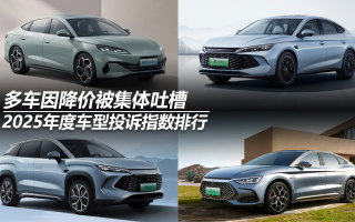 2025年度車型投訴指數(shù)排行：多車因降價(jià)被集體吐槽